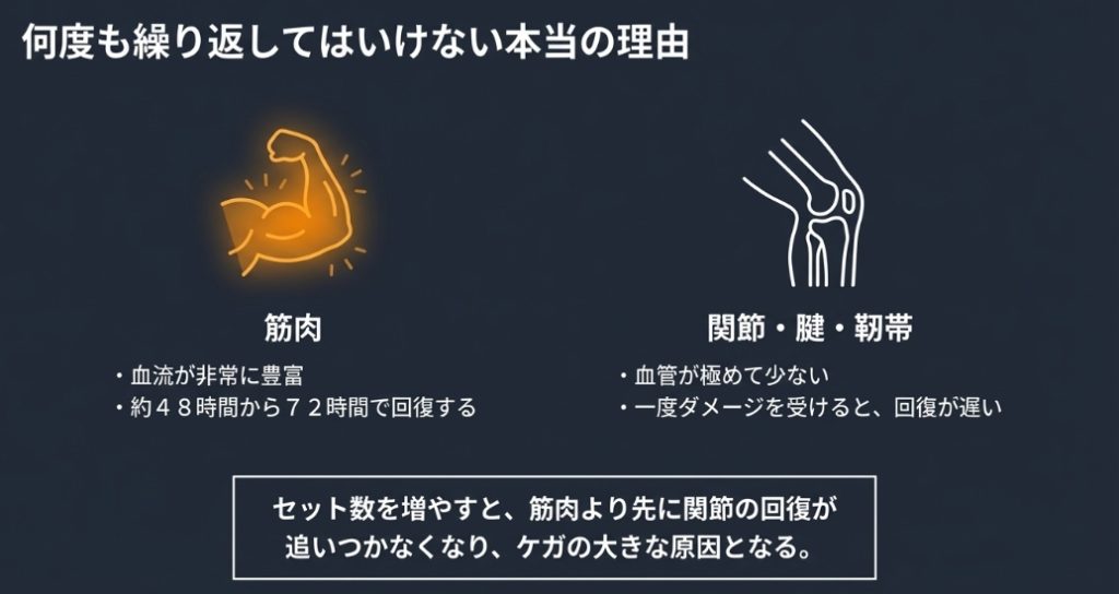 筋肉は約48時間から72時間で回復するのに対し、関節や腱は血管が少なく回復が遅いことを説明したスライド