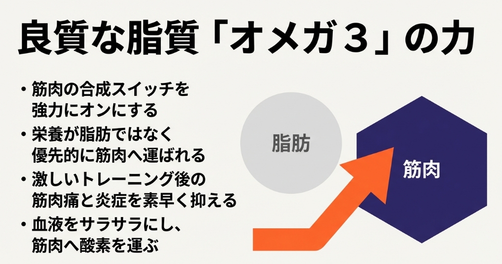 サバ缶に含まれる良質な脂質オメガ3が、脂肪ではなく筋肉へ優先的に栄養を運ぶ仕組みの図解