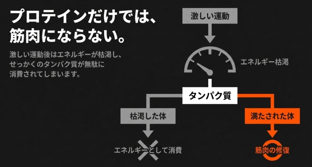 激しい運動後はエネルギーが枯渇し、せっかくのタンパク質が無駄に消費されてしまうことを示す図解
