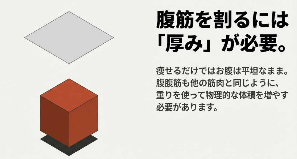 腹筋も他の筋肉と同様に重りを使って物理的な体積を増やす必要があることを示す立方体の図