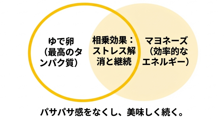 ゆで卵の最高のタンパク質とマヨネーズの効率的なエネルギーが組み合わさることで、パサパサ感をなくし美味しく継続できるという相乗効果の図解