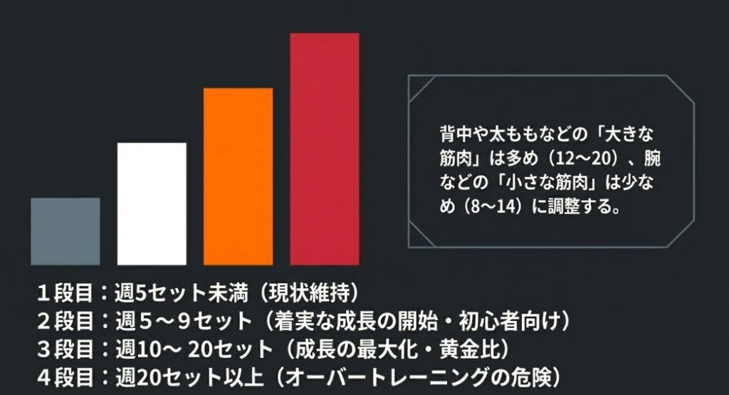 大きな筋肉は多め、小さな筋肉は少なめに。週10〜20セットで成長を最大化。