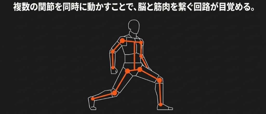 人体の関節の連動を示すイラスト。「全身の筋肉と『運動神経』を一度に叩き起こす。複数の関節を同時に動かすことで、脳と筋肉を繋ぐ回路が目覚める。」という解説文が書かれたスライド画像。