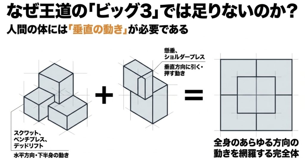ビッグ3(スクワット、ベンチプレス、デッドリフト)の水平方向・下半身の動きに、懸垂やショルダープレスといった垂直方向に引く・押す動きを加えることで、全身のあらゆる方向の動きを網羅する完全体になることを解説した図解 。