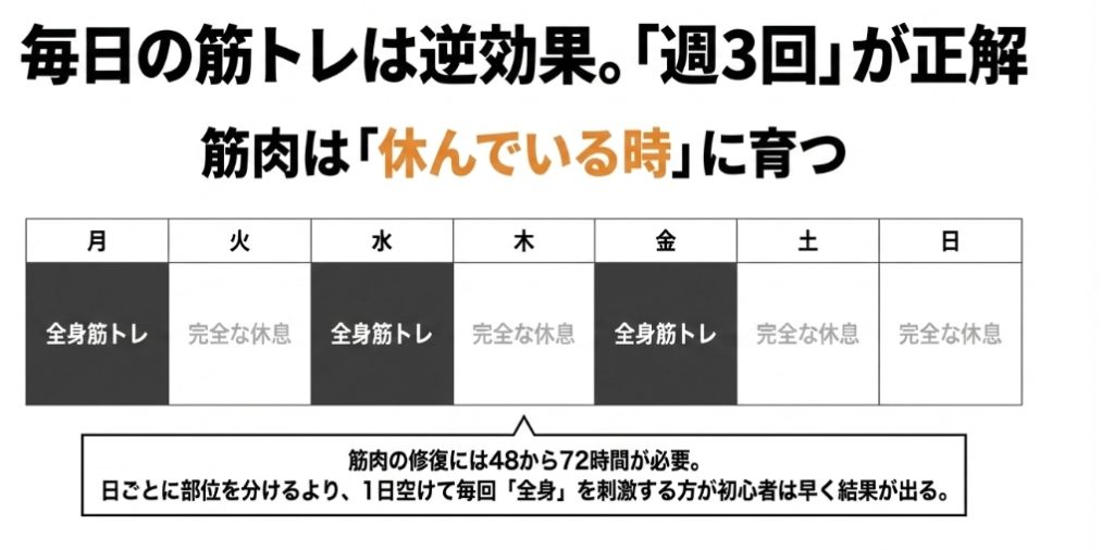 筋肉は休んでいる時に育つため、月水金に全身筋トレを行い、間の火木土日は完全な休息をとるという、初心者が早く結果を出せる「週3回」のトレーニングスケジュールの図解 。