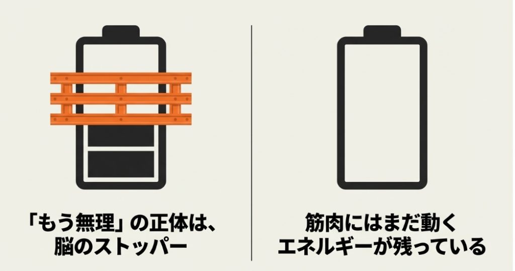 電池残量のイラスト。「もう無理」の正体は脳のストッパーであり、筋肉にはまだ動くエネルギーが残っていることを示す図解 。