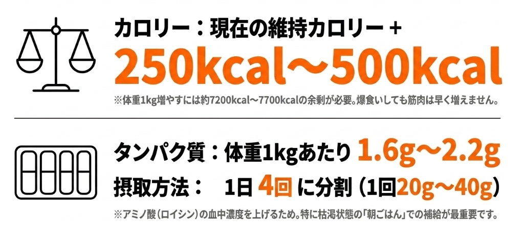 筋肉を育てる最適な燃料として、現在の維持カロリー＋250〜500kcal 、タンパク質は体重1kgあたり1.6〜2.2gを1日4回に分けて摂取することを推奨するスライド画像