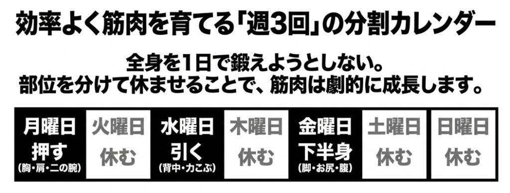 「効率よく筋肉を育てる「週3回」の分割カレンダー」という見出し 。月曜日に押す（胸・肩・二の腕）、水曜日に引く（背中・力こぶ）、金曜日に下半身（脚・お尻・腹）を行い、その他の曜日は休むというスケジュールが記載されています 。