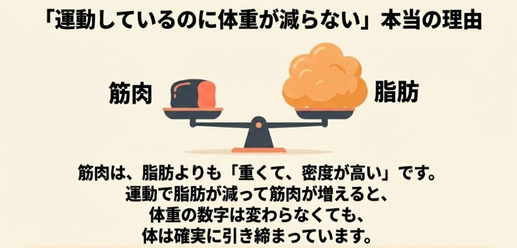 運動しているのに体重が減らない理由を解説したスライド。筋肉は脂肪よりも重くて密度が高いため、運動で脂肪が減って筋肉が増えると、体重の数字は変わらなくても体は確実に引き締まっていることを説明しています。